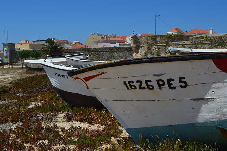 Barco de pesca tradicional em Peniche – Visitas Guiadas em Castelo Branco